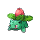 妙蛙花