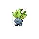 走路草