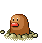 宠物蛋