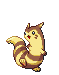 小尾