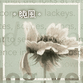 晓风 头像