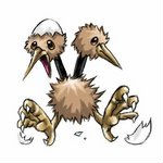 Doduo 头像
