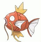 海洋之囧 头像